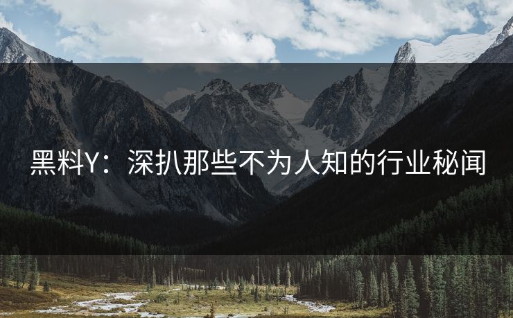 黑料Y：深扒那些不为人知的行业秘闻