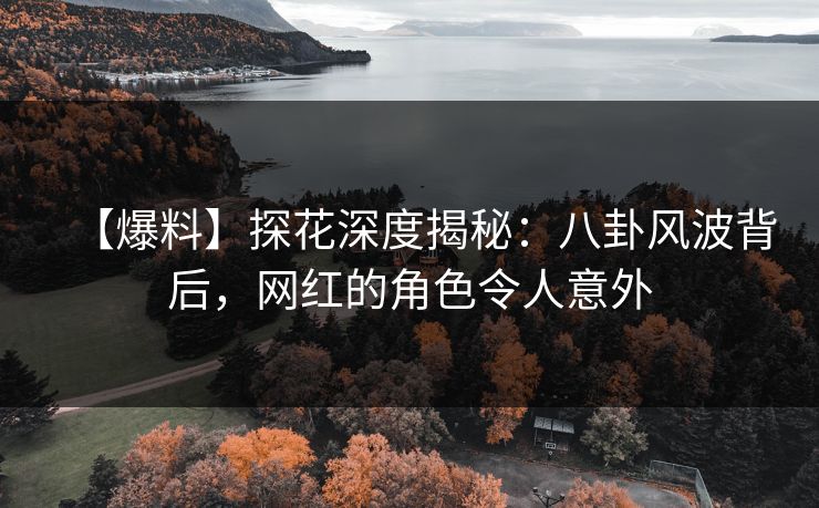 【爆料】探花深度揭秘：八卦风波背后，网红的角色令人意外