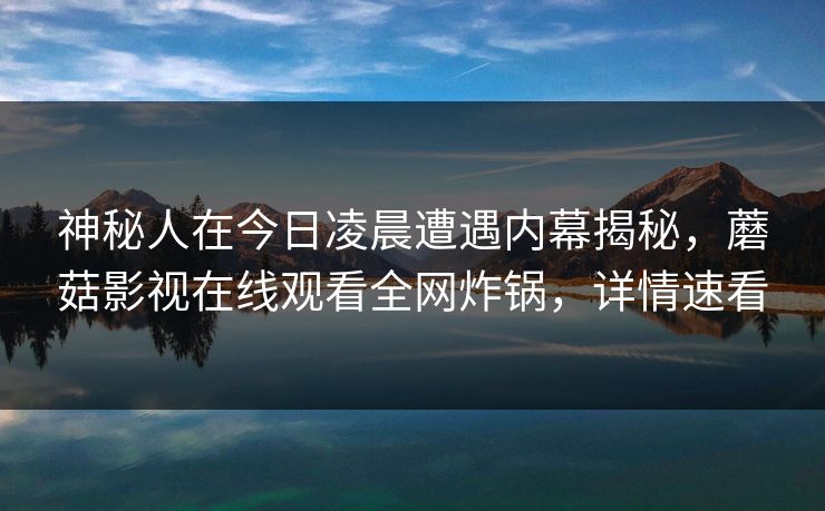 神秘人在今日凌晨遭遇内幕揭秘，蘑菇影视在线观看全网炸锅，详情速看