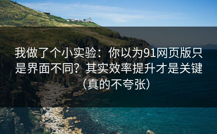 我做了个小实验：你以为91网页版只是界面不同？其实效率提升才是关键（真的不夸张）